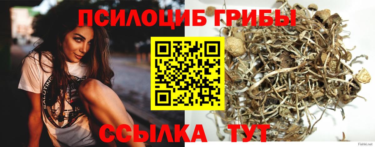 Галлюциногенные грибы GOLDEN TEACHER  наркотики  Подольск  Псилоцибиновые грибы прущие грибы  Вход с VPN 